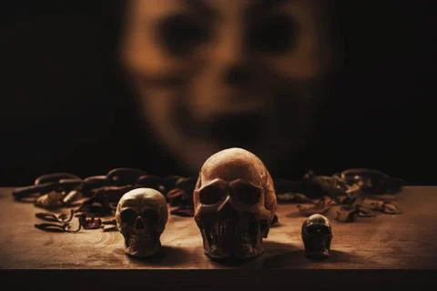 Skull with a darkness. Stock-Fotos