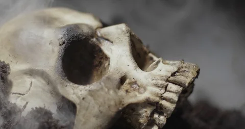 Skull of a dead man in on the ground Stock Footage 124781494