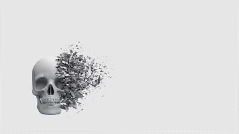 Skull Decay Stock Footage 168648807