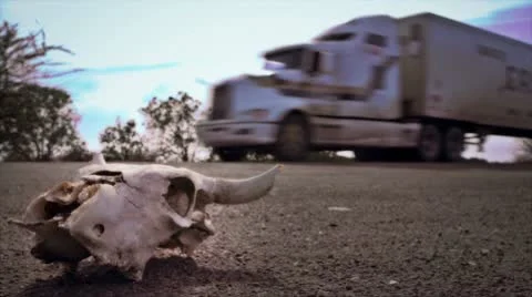 Skull on desert highway Stock Footage