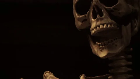 Skull Details Stock Footage
