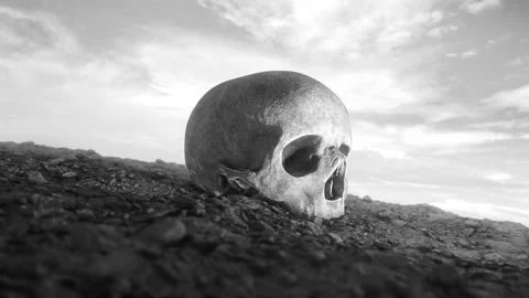 Skull Discovery Stock Footage 240941254