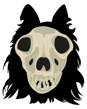 Skull of the dog in head type frontal Stock Illustration