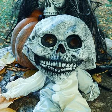 Skull doll with pumpkin in a fall setting Stock Photos