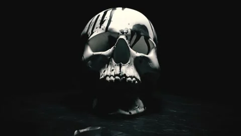 Skull emerging from darkness in a mysterious setting Vidéo 145641301