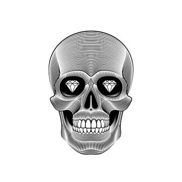 Skull engraved on white background Illustrazione stock