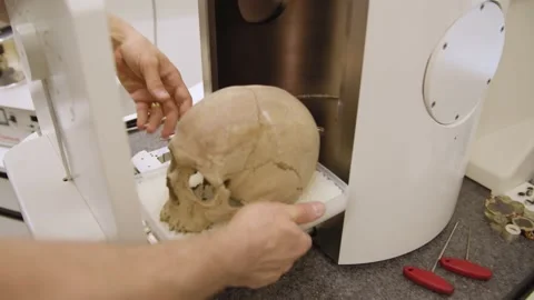 Skull Examination by Scientist / Forensic Видео 145055934