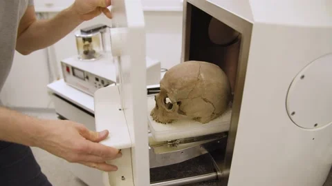 Skull Examination by Scientist / Forensic Видео 145055949