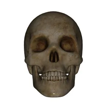 Skull face - 3D render Stock Illustration