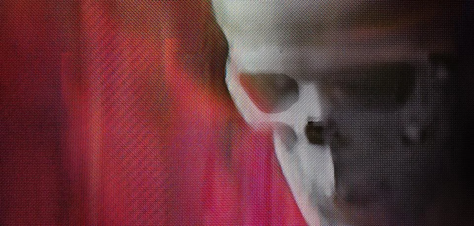 Skull face with halftone pattern on red background Stock Photos