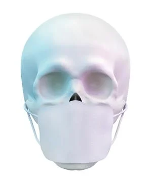 Skull with Face Mask, front view, isolated on white, fabric reusable medical Stock Illustration