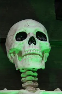 Skull Figure. Stock Photos