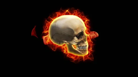 Skull fire halloween loop animation 库存影片 146372156