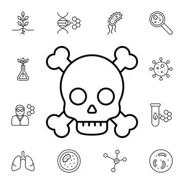 Skull flat vector icon in biology pack Stock Illustration