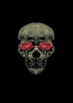 Skull with Flowers Collage Ilustração Stock