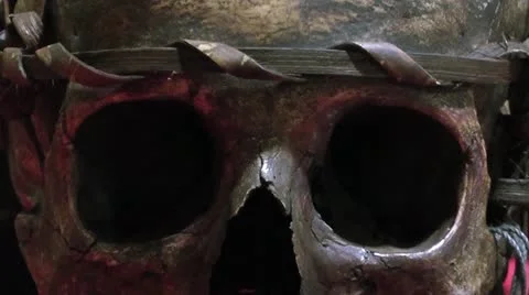 Skull Stock Footage 10916786