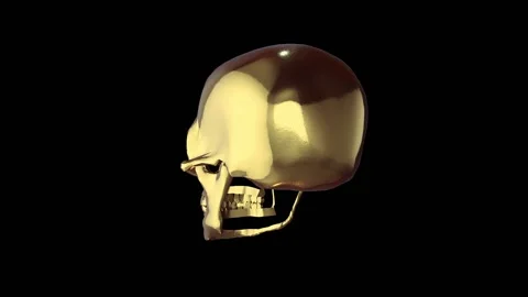 Skull Stock Footage 162685641