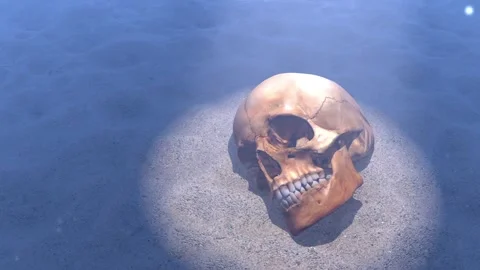 Skull Video stock 325880312