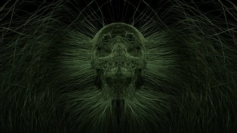 Skull Formed by Growing Grass Stock Footage 97125196