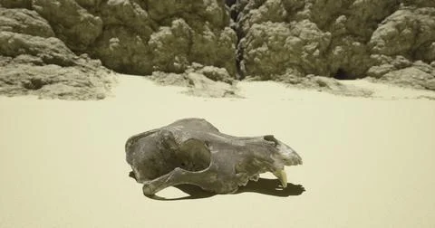 Skull found on a sandy beach near rocky cliffs during a sunny afternoon strol Stock Illustration