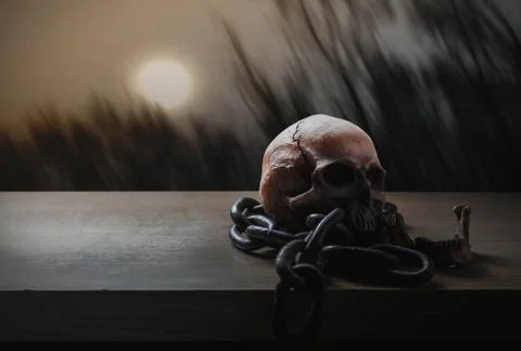 Skull with a full moon. Stock Photos