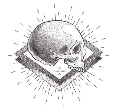 Skull with geometric abstract elements. Hand Drawn Illustration Stock Illustration