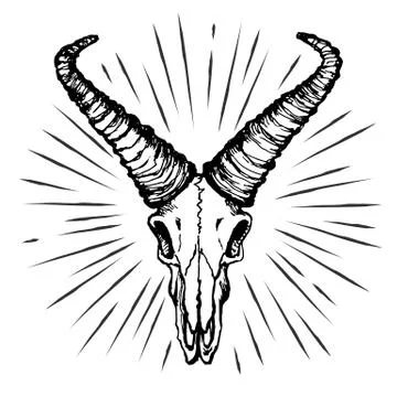 Skull of a goat Stock Illustration