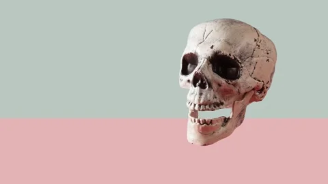 Skull going up and down on dirty pink background, in loop , stop motion Stock Footage 247771999