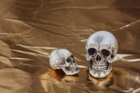 Skull with gold background Stock Photos