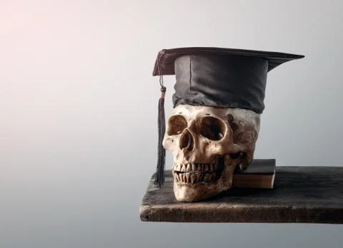Skull with graduation cap Empty ready for your product display or montage. Stock Photos