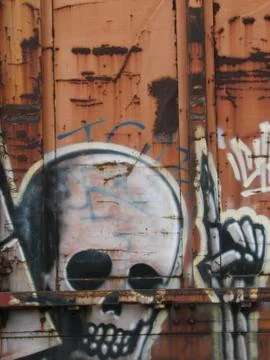 Skull graffiti Stock Photos