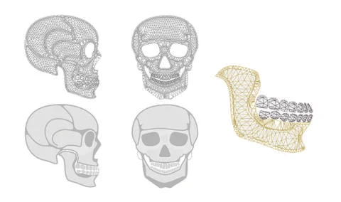 Skull graphic Stock Illustration