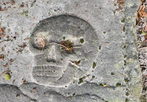 Skull on a gravestone Stock Photos