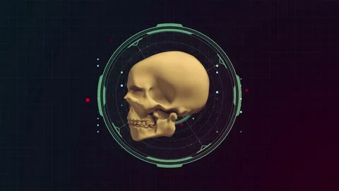 Skull Grid 2 Video stock 146727851