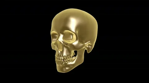 Skull h264 Video stock 774055