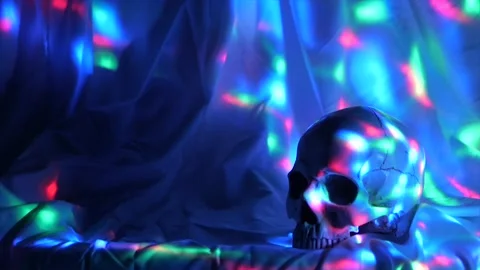 Skull Halloween Video stock 219482357