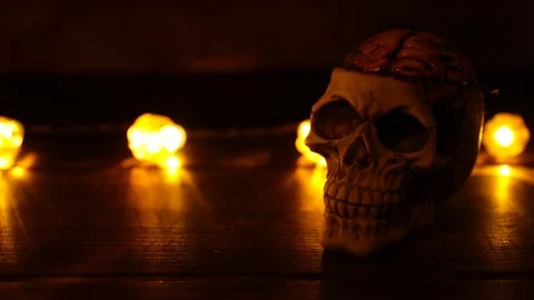 Skull Halloween Horror Background Видео 81389646