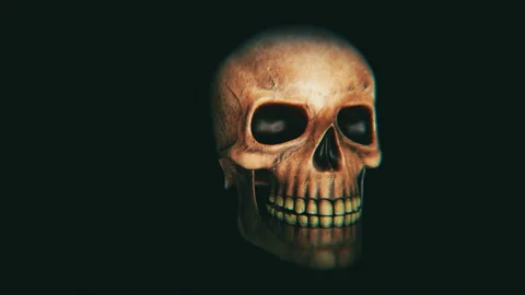Skull Halloween Video Loop Видео 118505432