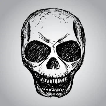 Skull. Hand drawing Stock Illustration