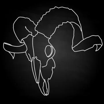 Skull-hand drawn illustration Stock Illustration