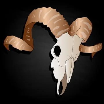 Skull-hand drawn illustration Stock Illustration