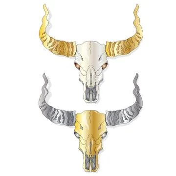Skull- hand drawn illustration Stock Illustration