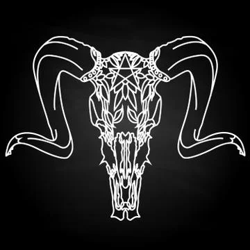 Skull-hand drawn illustration Stock Illustration