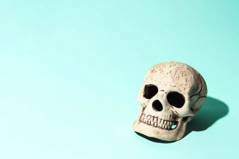 Skull with a hard shadow on mint background Stockfoto's