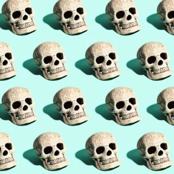 Skull with a hard shadow on mint background Stock Photos