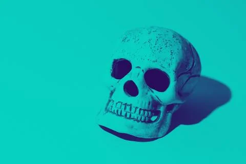 Skull with a hard shadow on mint background Stockfoto's