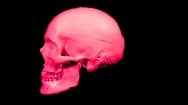 Skull Head Skeleton Corpse Human Bones Horror Stock Footage