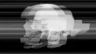 Skull Head Skeleton Corpse Human Bones Horror Stock Footage