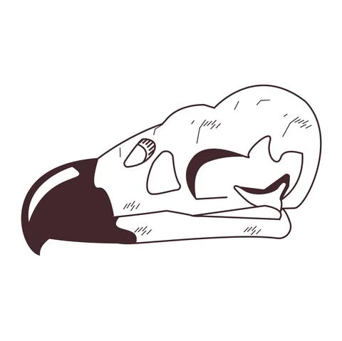Skull head of wild eagle icon Stock Illustration