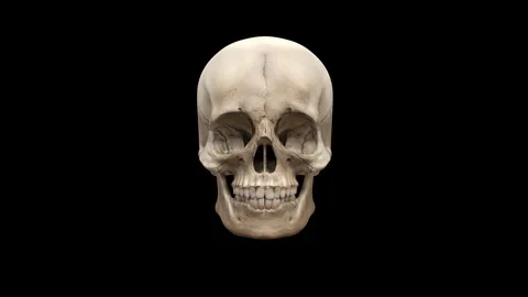 A skull headbanging - skull on a black background Video stock 320187945